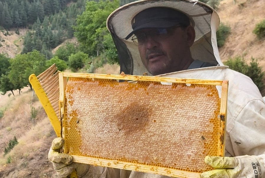 Ekinözü’nde Sezonun İlk Yayla Çiçek Balı Sağımı Yapıldı