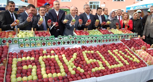 GÖKSUN’DA 8. GELENEKSEL ELMA FESTİVALİ COŞKUSU YAŞANDI