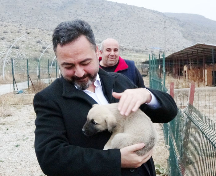 Hem sokak hayvanları korunacak, hem de insanlarımız