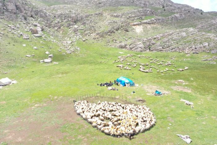 Andırın Yaylaları Şenlendi !