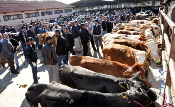 Şap hastalığına karşı karantina kararı alındı