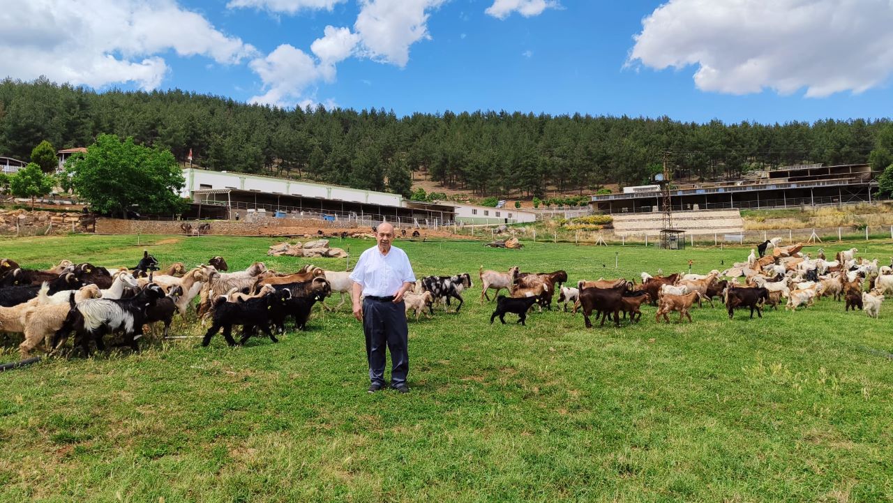 MADO Yönetim Kurulu Başkanı Mehmet Kanbur