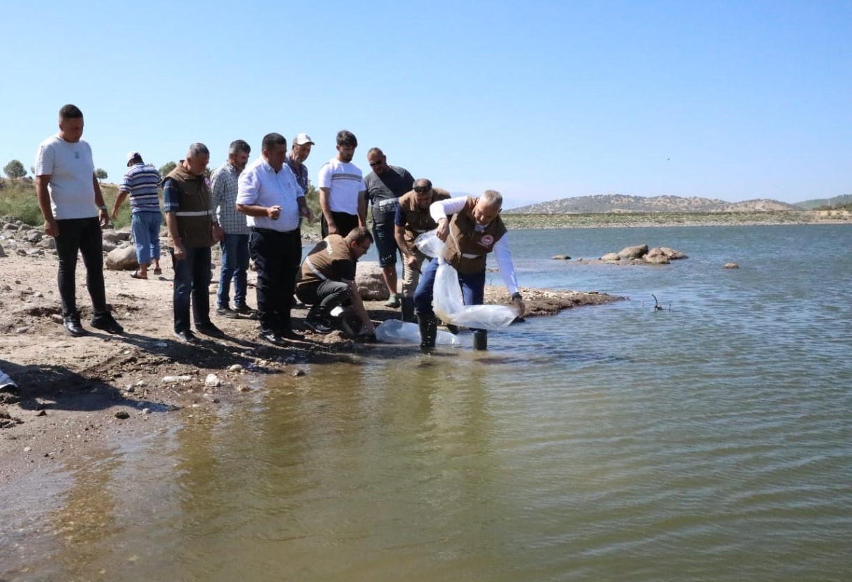 Demirci de Göletlere Balık Bırakıldı !