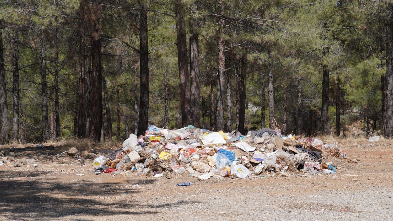 Ormanda Çöp Deposu Çıktı !