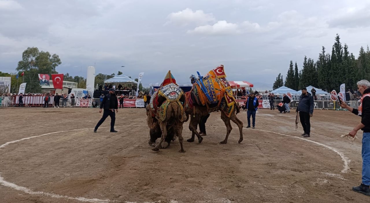 Develer Aydın Koçarlı’da 10. Kez Güreşti