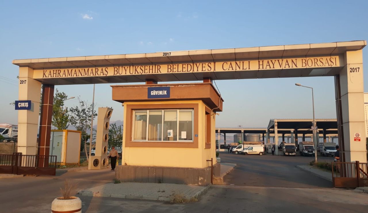 Kurbanlık Satışları 22 Mayıs’ta Başlıyor