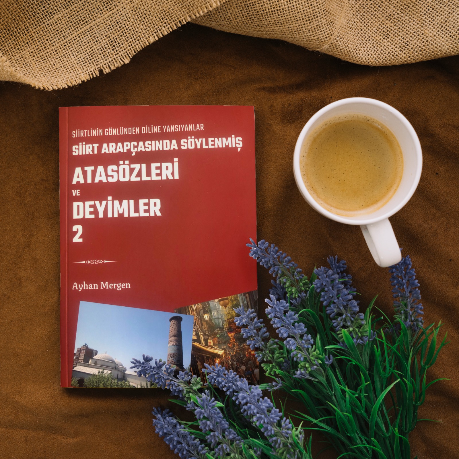 Ayhan Mergen’in yeni kitabı yayınlandı