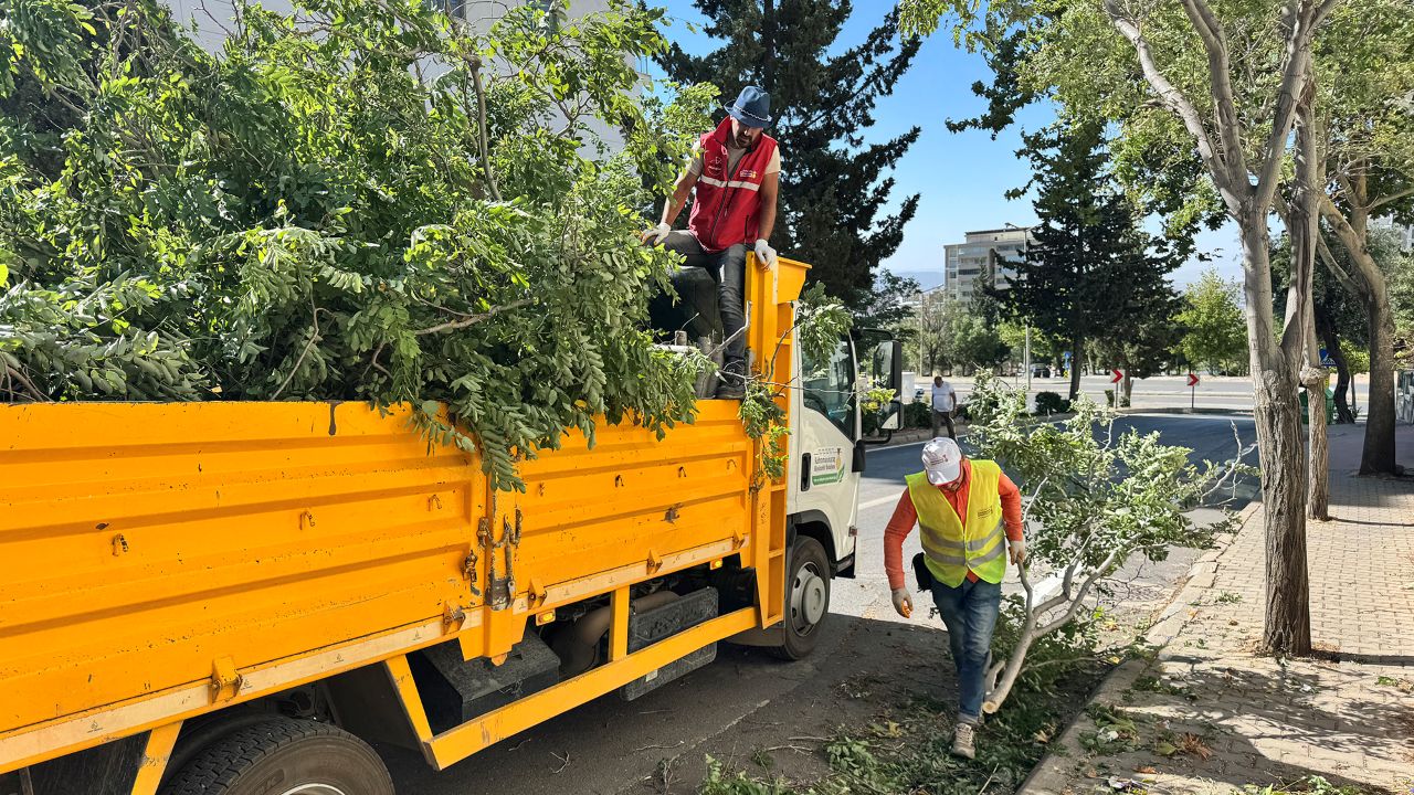 Şu Ulu Çınarın Boynu Bükülmüş