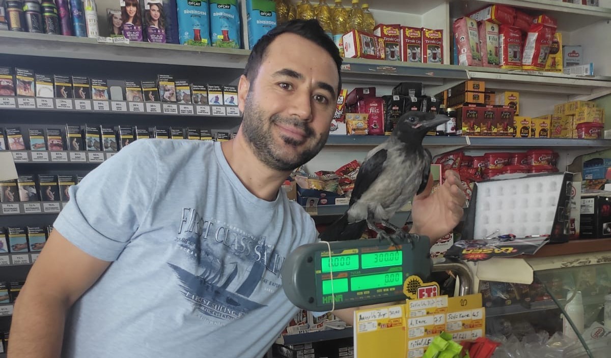Marketçi ve karganın ilginç dostluğu