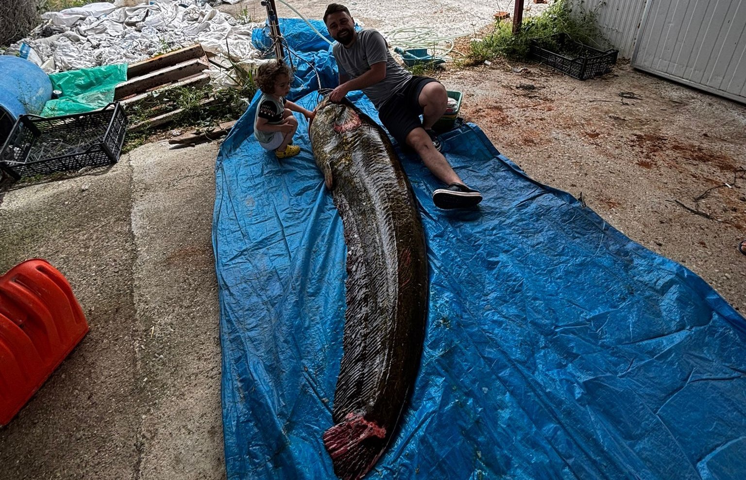Demirköprü Barajında 114 Kiloluk Dev Bir Balık Daha Yakalandı