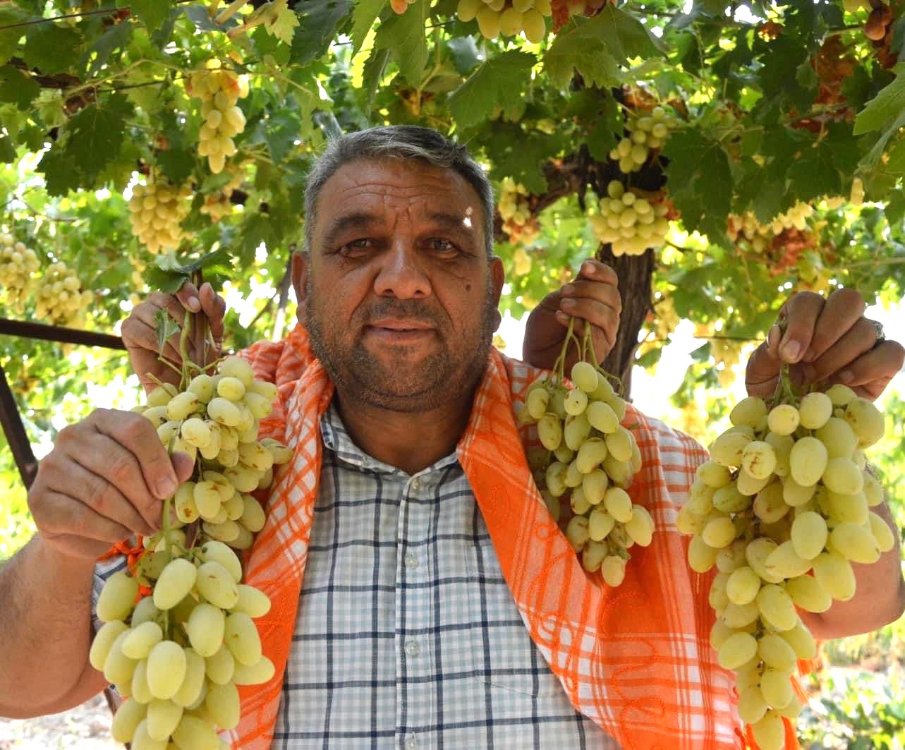 7. Manisa Bağbozumu Ve Yörük Türkmen Kültür Şöleni 31 Ağustos Pazar Günü