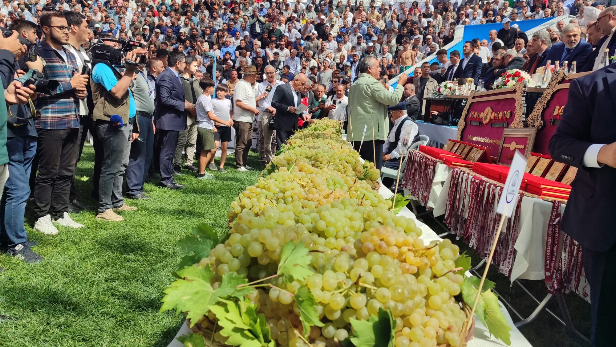 Bertiz Kabarcık Üzümü Altın Değerinde!