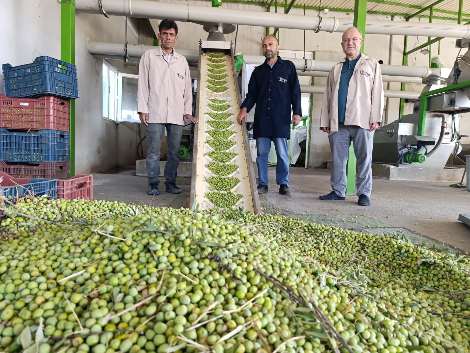 Zeytinyağı Fabrikası Sezona ‘merhaba’dedi