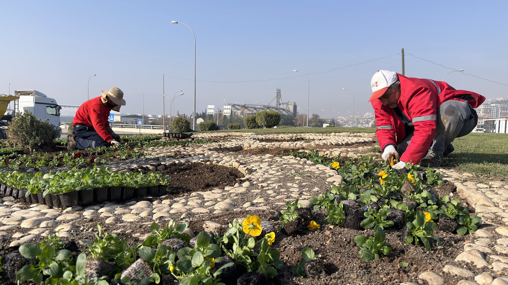 Maraş 'ta Çiçekler Açtı