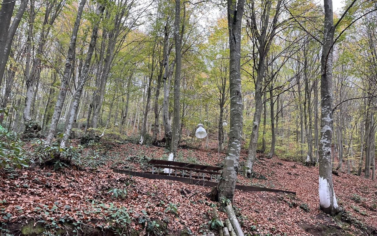 TÜRKİYE’DE DÖRT MEVSİMİN BÜYÜSÜ