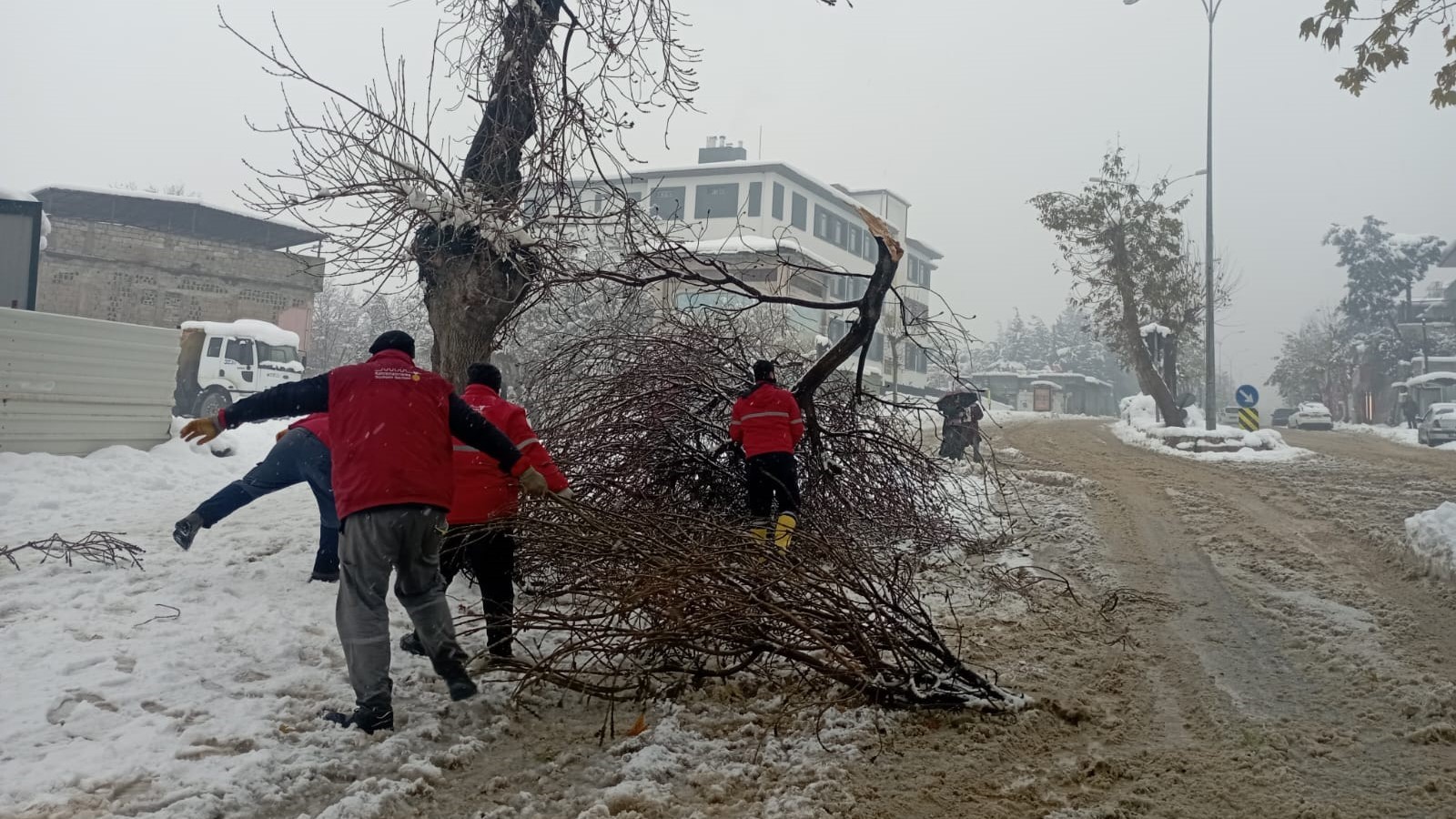 Kırılan Dallara Anında Müdahale