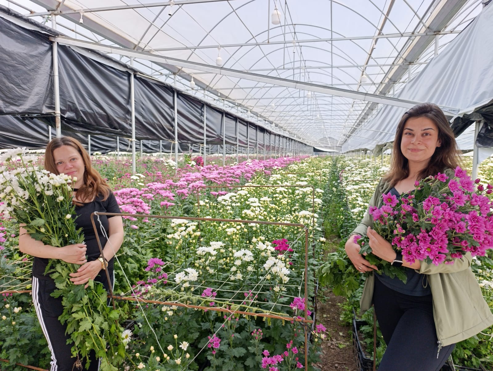 Çiçekçilikte Hollanda’yı Zorluyor