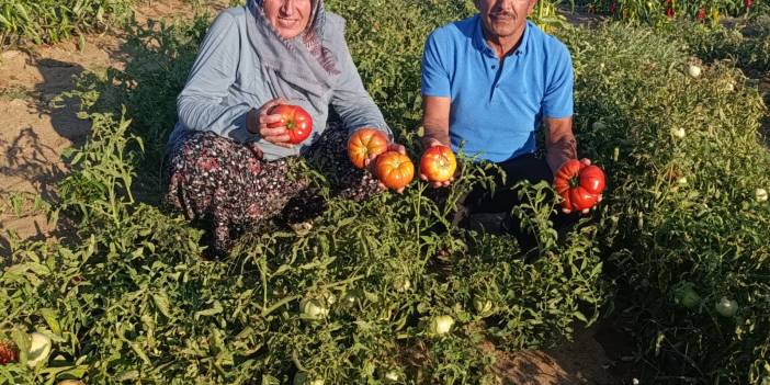 Ürünleri Köyde Para Etmiyor , Markette El Yakıyor