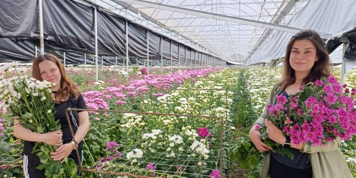 Çiçekçilikte Hollanda’yı Zorluyor