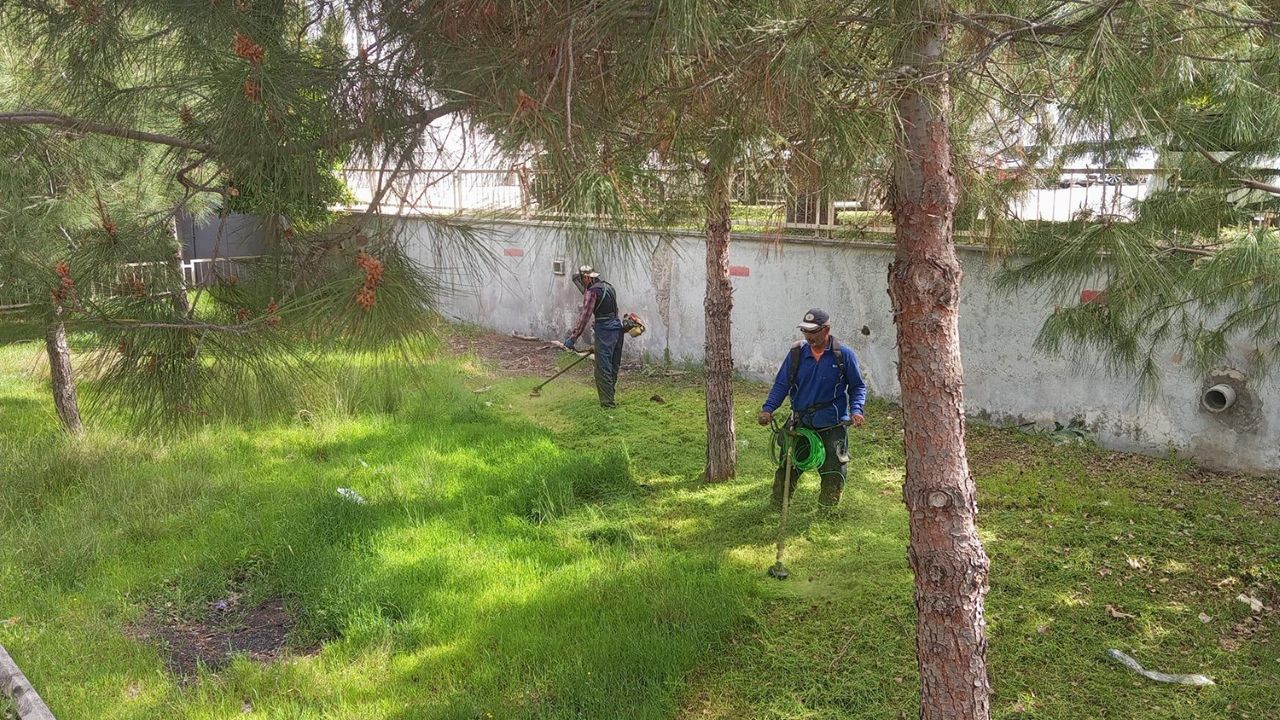 yumurtalik-temizlik.jpg