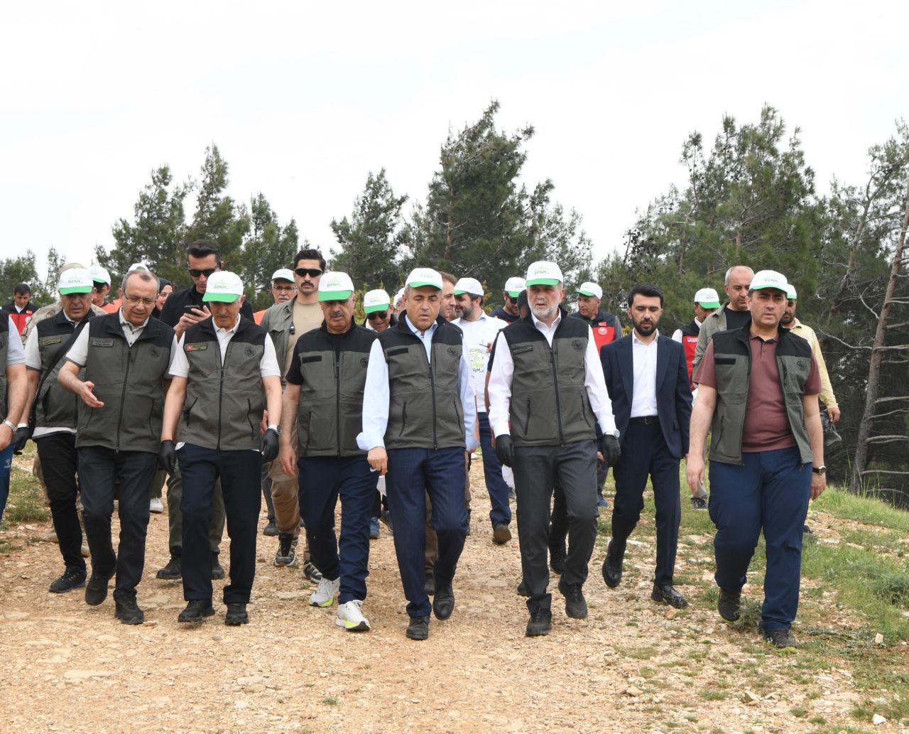 orman-benim-farkindalik-calismasi-7.jpg