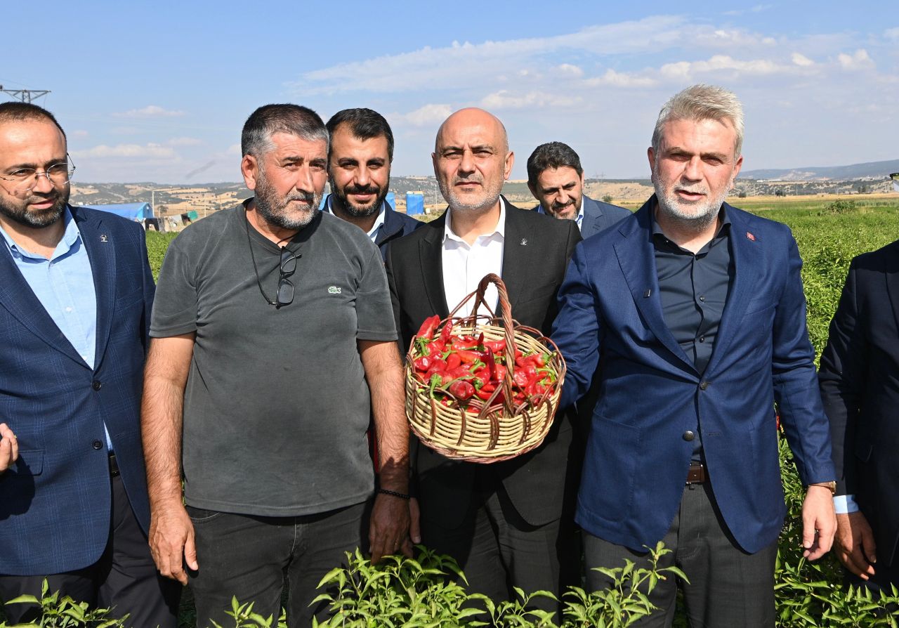 maras-biberi-hasadi-4.jpg