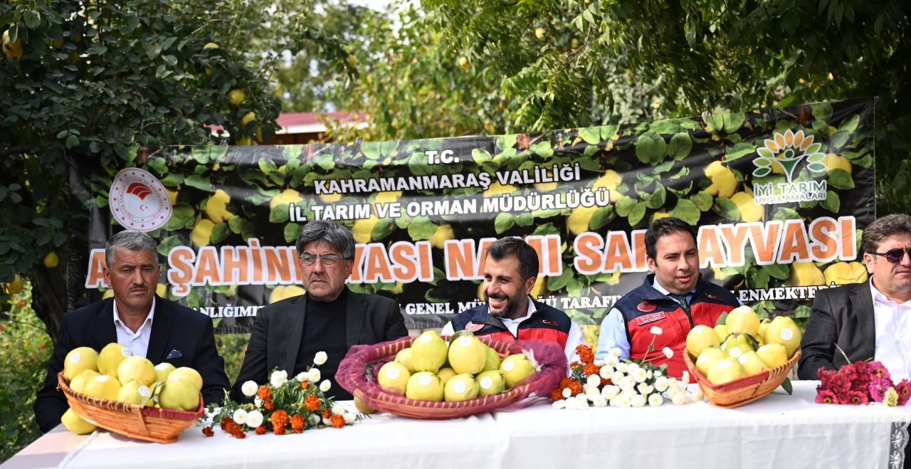 ayva-hasati-1.jpg